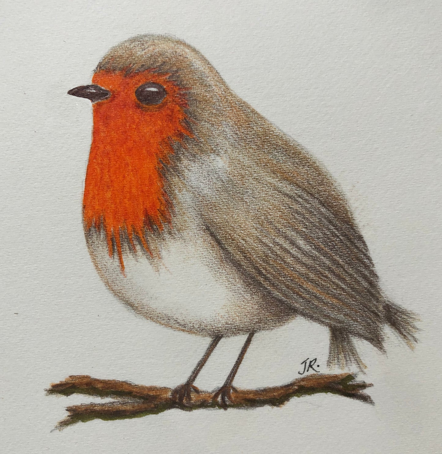 Robins
