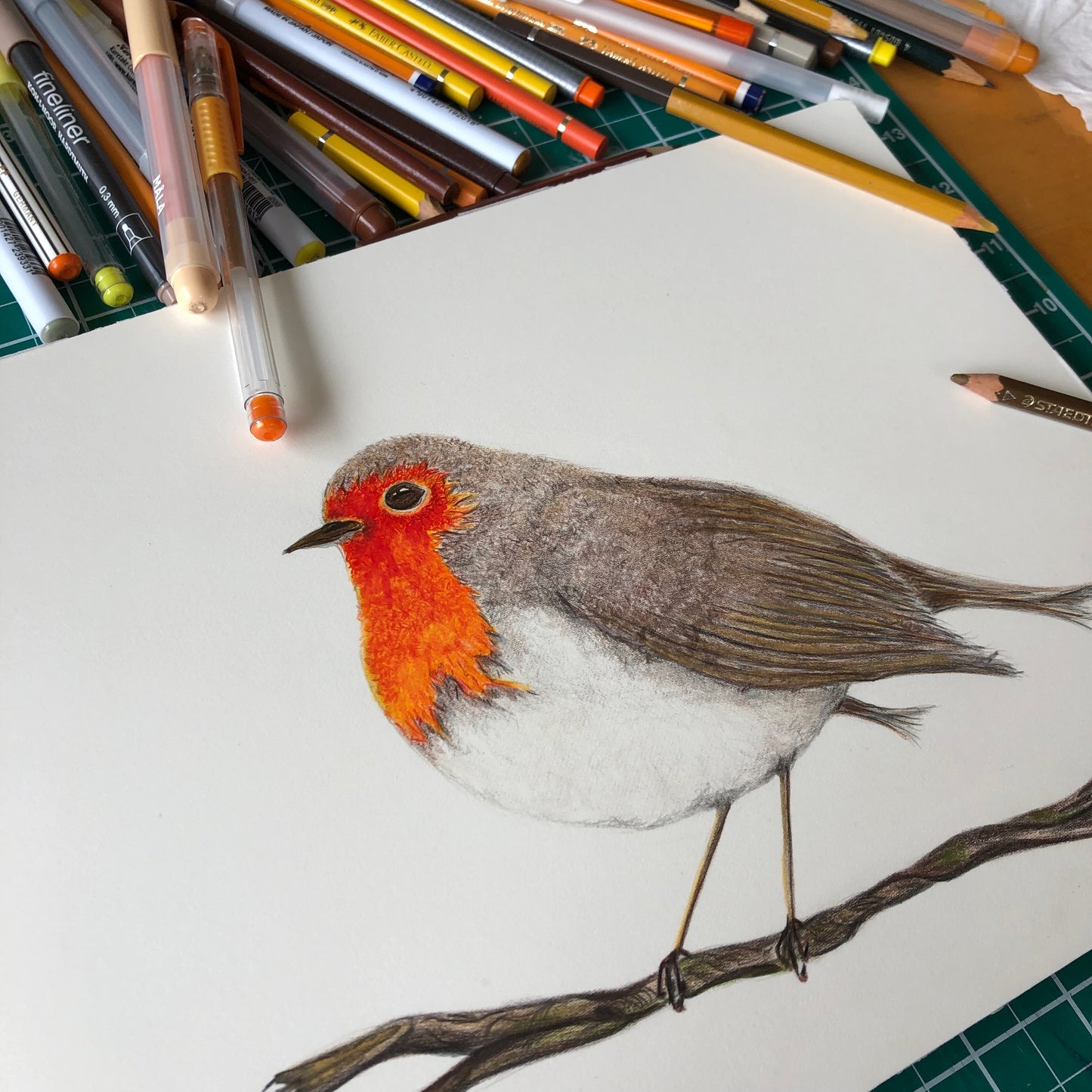 Robins