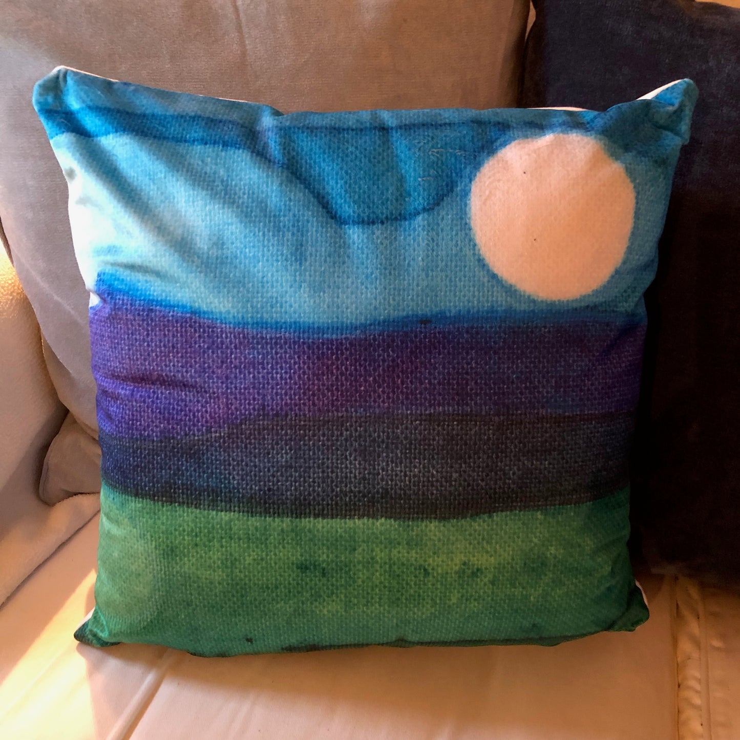Velvet Cushion D